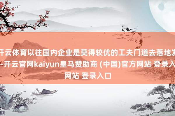 開云體育以往國內企業是莫得較優的工夫門道去落地發展-開云官網kaiyun皇馬贊助商 (中國)官方網站 登錄入口