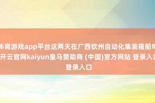 體育游戲app平臺這兩天在廣西欽州自動化集裝箱船埠-開云官網kaiyun皇馬贊助商 (中國)官方網站 登錄入口